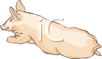 Farm Animal Clipart