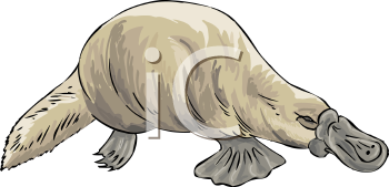 Mammal Clipart