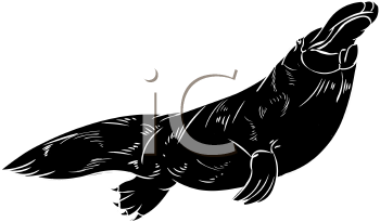 Mammal Clipart