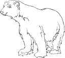 Bear Clipart