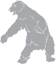 Bear Clipart