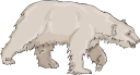 Bear Clipart