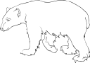 Bear Clipart