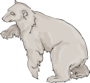 Bear Clipart