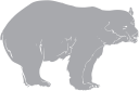 Bear Clipart