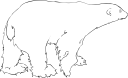 Bear Clipart