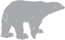 Bear Clipart