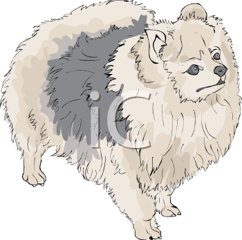Pet Clipart