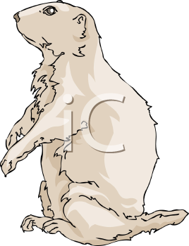 Pet Clipart