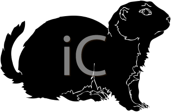 Pet Clipart