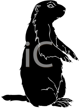Pet Clipart