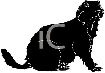 Pet Clipart