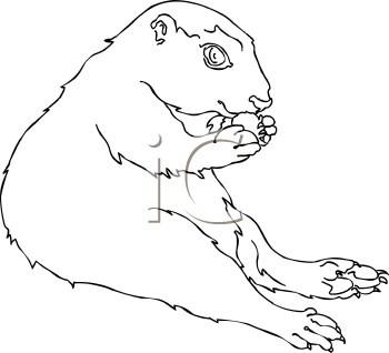 Pet Clipart