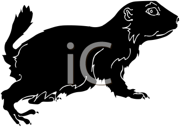 Pet Clipart