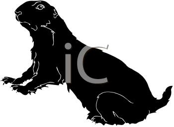 Pet Clipart
