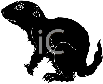 Pet Clipart