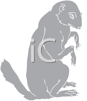 Pet Clipart