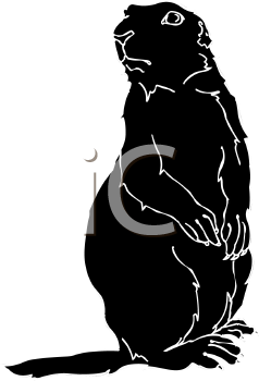 Pet Clipart