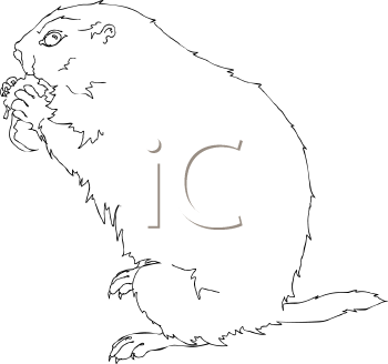 Dog Clipart