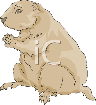 Pet Clipart