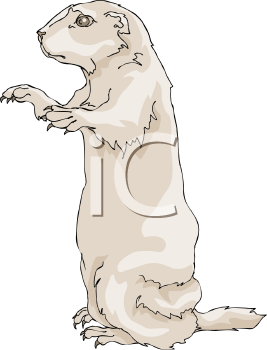 Pet Clipart