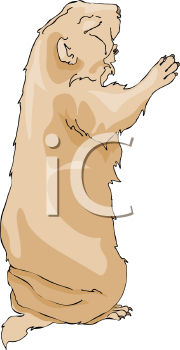 Pet Clipart