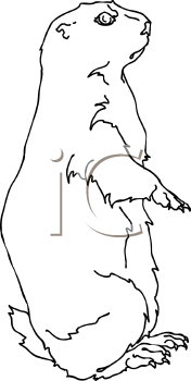 Pet Clipart