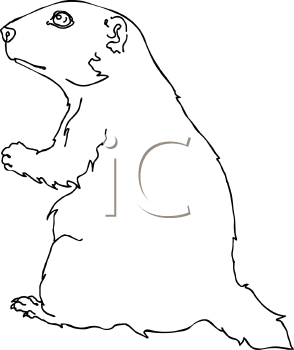 Pet Clipart