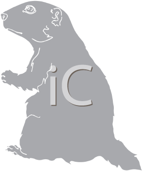 Pet Clipart