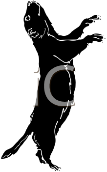 Pet Clipart