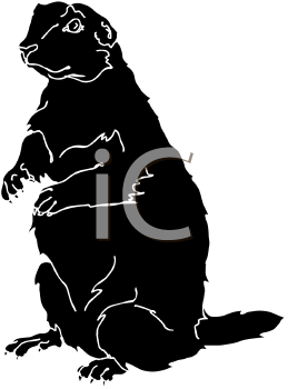 Pet Clipart