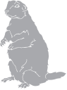 Pet Clipart