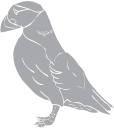 Bird Clipart