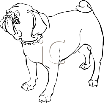 Dog Clipart