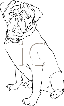 Dog Clipart