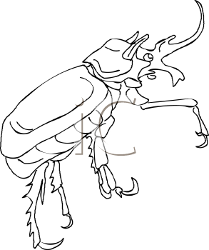 Mammal Clipart