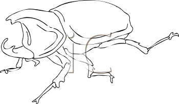 Beetle Clipart