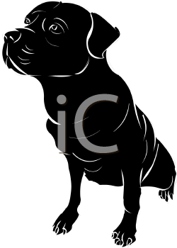 Pet Clipart