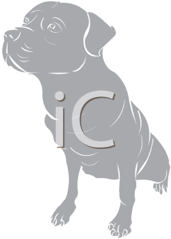 Pet Clipart