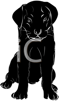 Pet Clipart