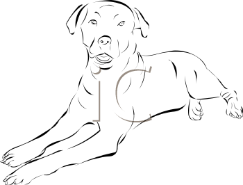 Pet Clipart