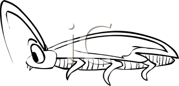 Insect Clipart