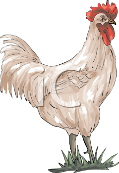 Farm Animal Clipart