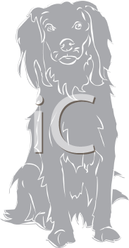 Pet Clipart