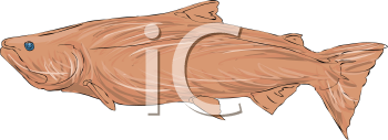 Fish and Sea Life Clipart