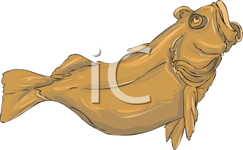 Fish and Sea Life Clipart