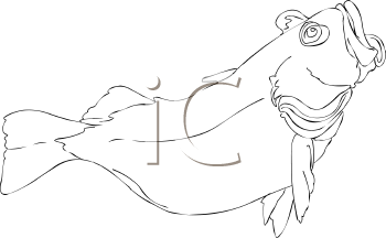 Fish and Sea Life Clipart
