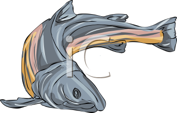 Fish and Sea Life Clipart
