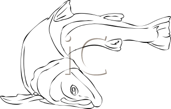 Fish and Sea Life Clipart