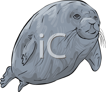 Mammal Clipart